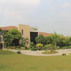 OASIS